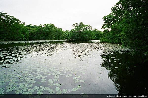 大沼公園