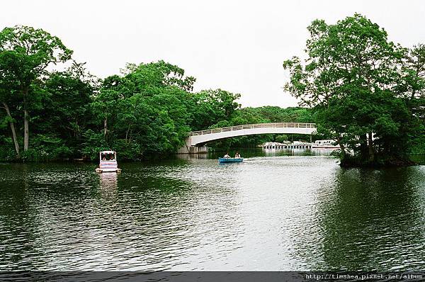 大沼公園