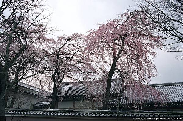 醍醐寺