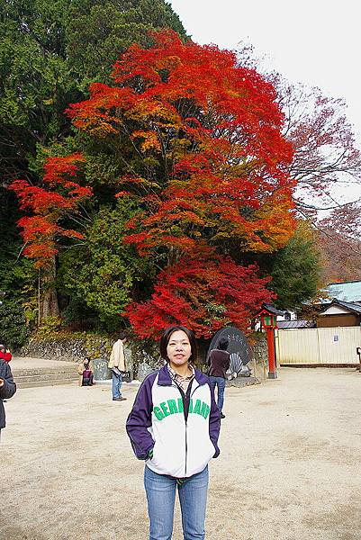 日光  二荒山神社