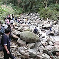 陽明山 某步道