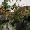 京都-  哲學之道