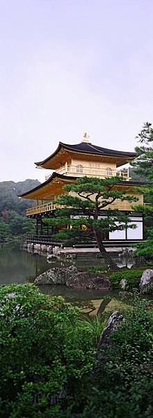 京都-  金閣寺