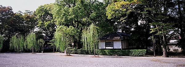 京都-  三十三間堂