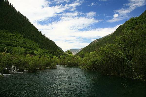 九寨溝  樹正群海