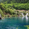 九寨溝  樹正群海