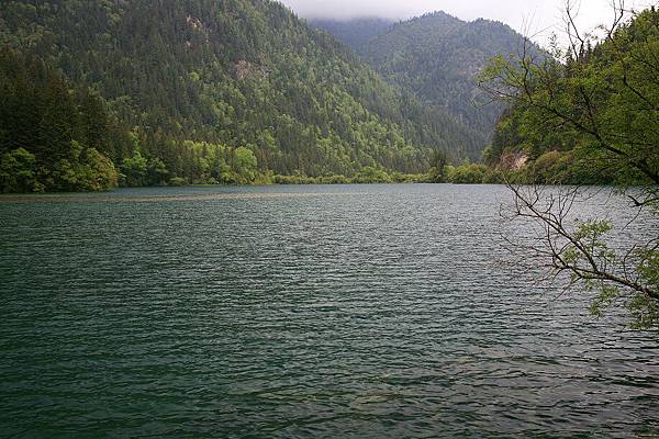 九寨溝  天鵝海