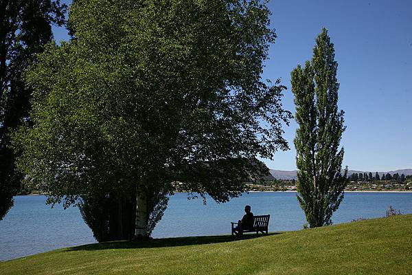 特瑞索 wanaka 湖畔