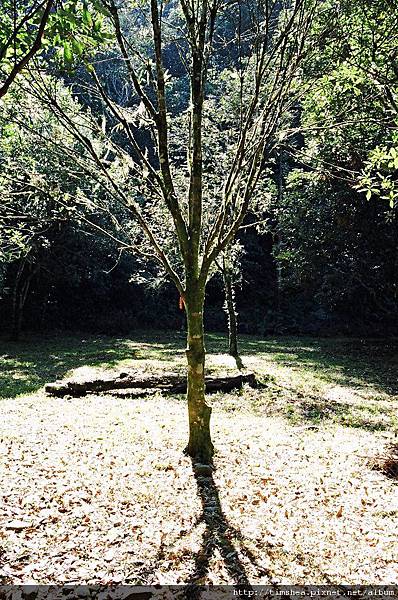 福山植物園