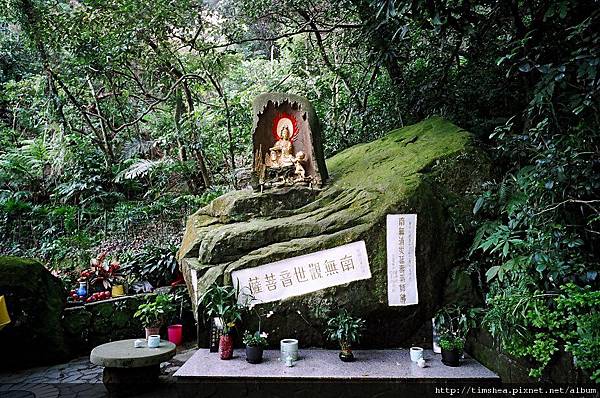 土城  步道