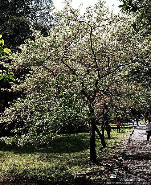 福山植物園