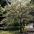 福山植物園