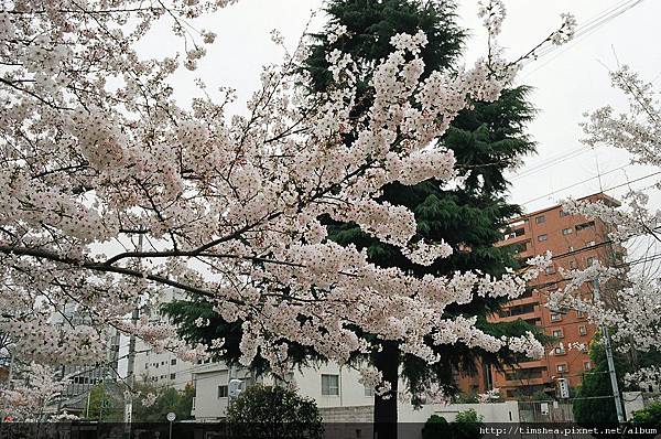 大阪  公園