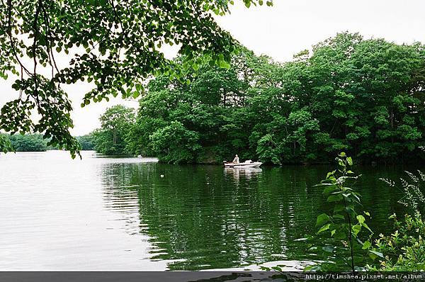 大沼公園