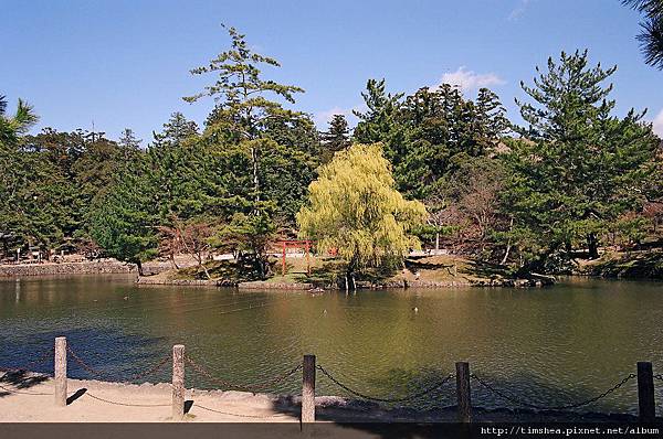 奈良公園