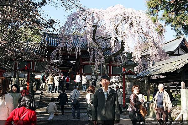 奈良  某寺廟