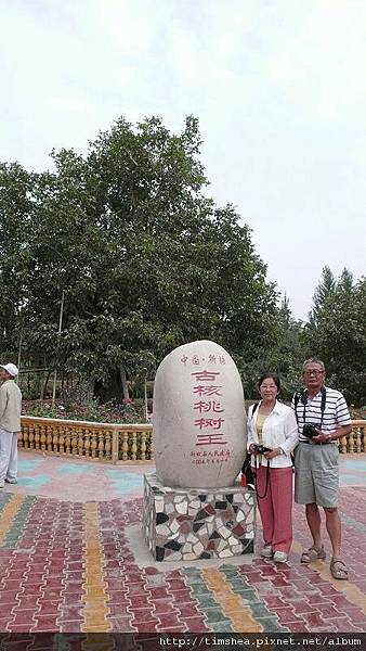 核桃王  果園