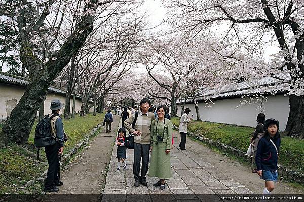 醍醐寺