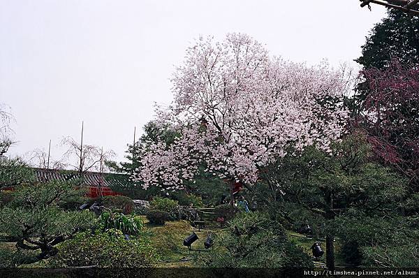 平安神宮