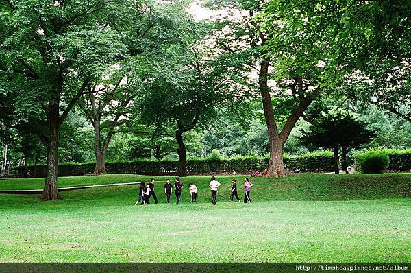 北海道大學