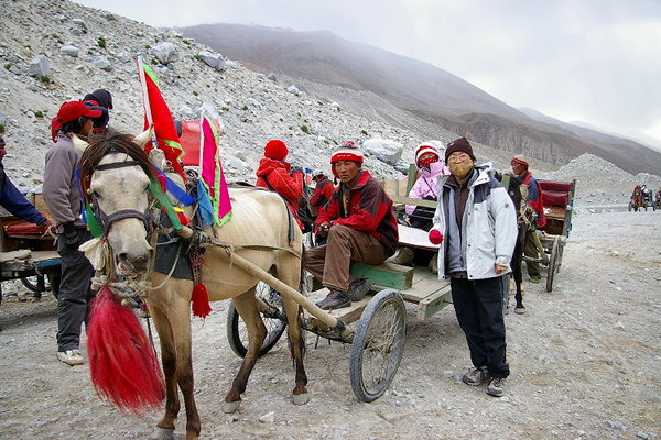 與車夫, 馬車合影