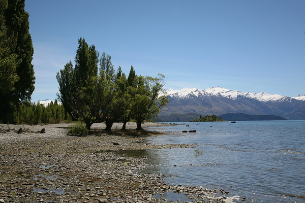 特瑞索 wanaka 湖畔