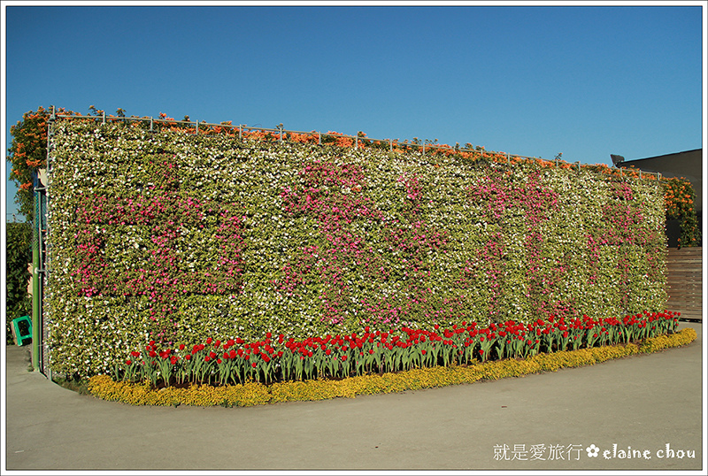 中社觀光花市05.jpg