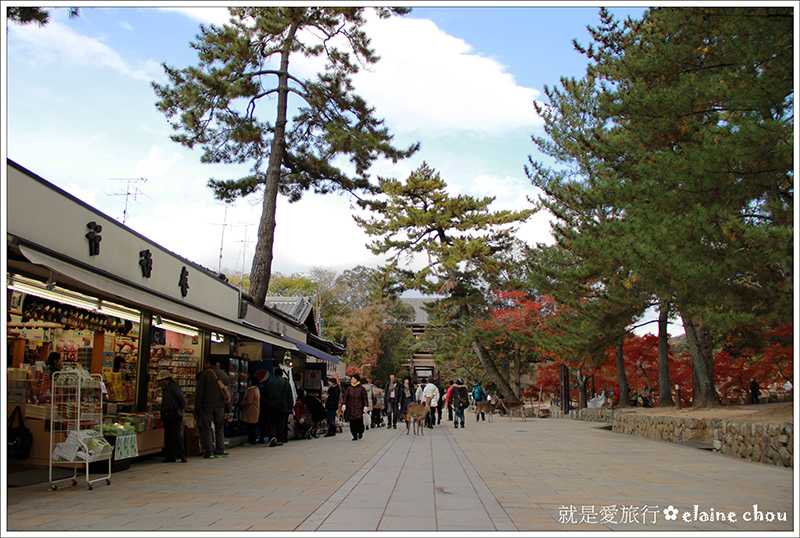 東大寺02.jpg