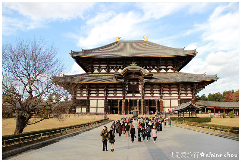 東大寺22.jpg