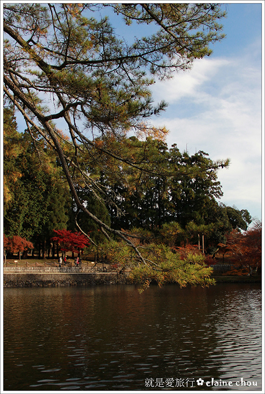 東大寺28.jpg