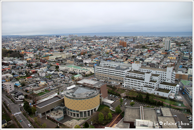 五陵郭吉野櫻09.jpg