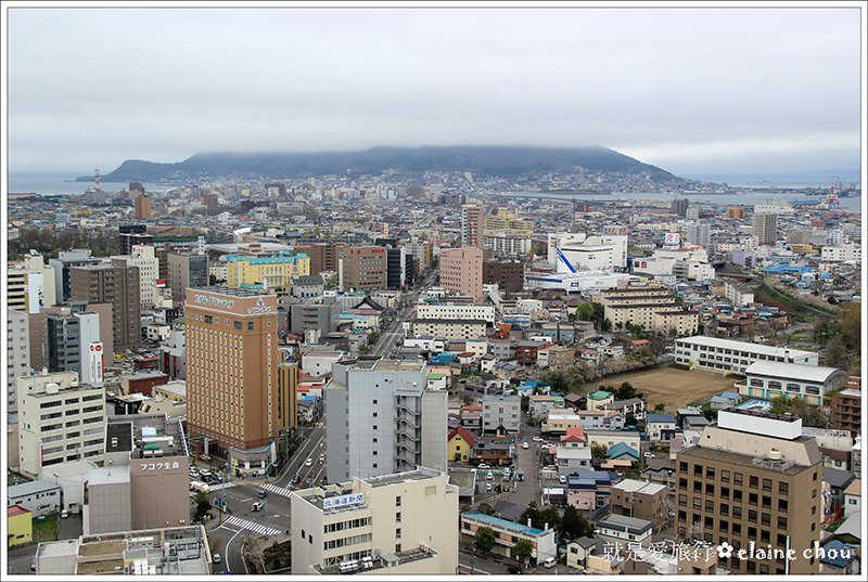 五陵郭吉野櫻10.jpg