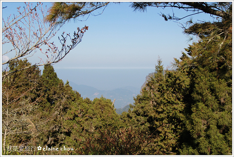 阿里山20.jpg