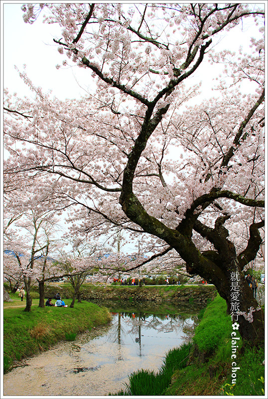 篠山城跡09.jpg