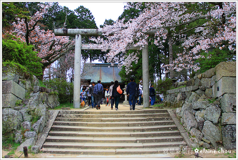 篠山城跡25.jpg