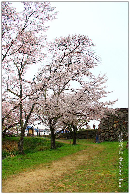 篠山城跡42.jpg