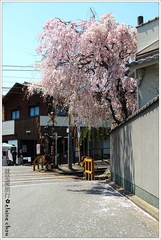 仁和寺交通篇28.jpg