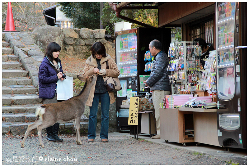 東大寺37.JPG