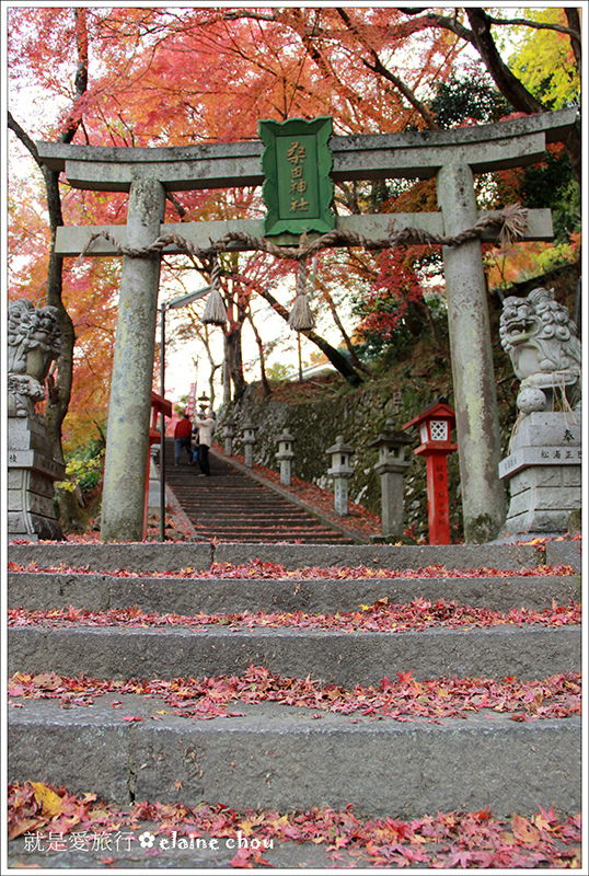 桑田神社17.jpg