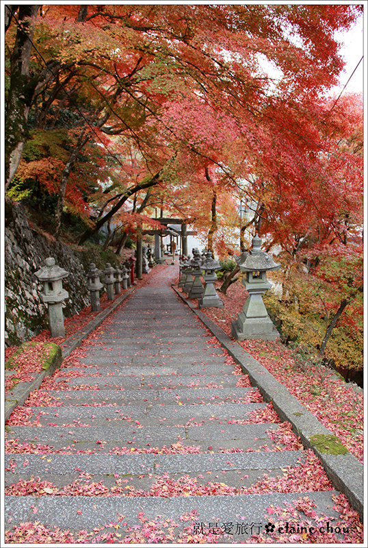 桑田神社21.jpg