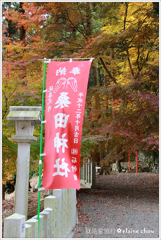 桑田神社28.jpg