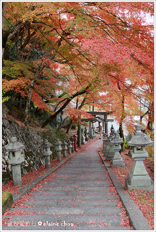 桑田神社33.jpg