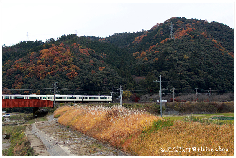 桑田神社36.jpg