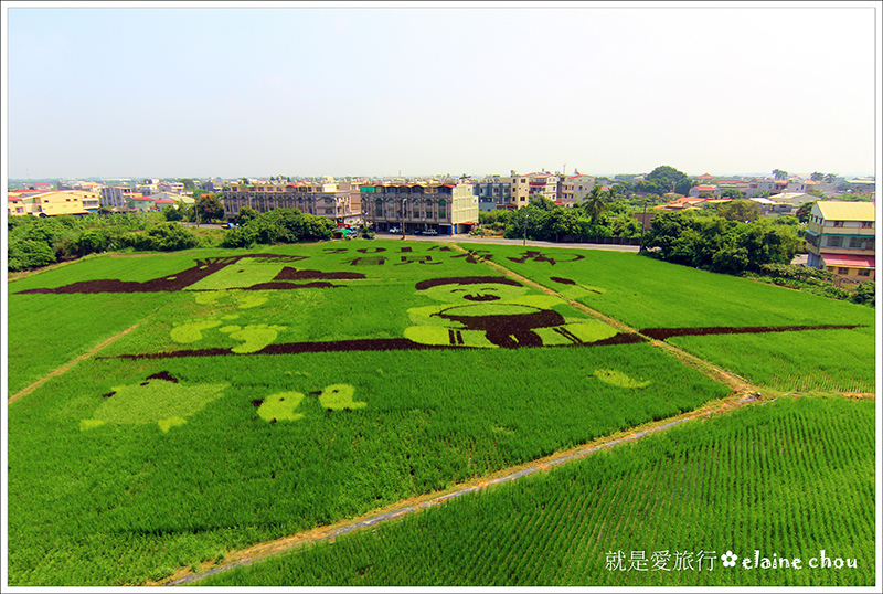 2014台南好米嘉年華(彩繪稻田)09.JPG