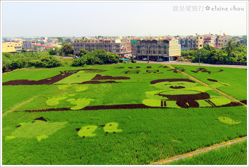 2014台南好米嘉年華(彩繪稻田)11.jpg