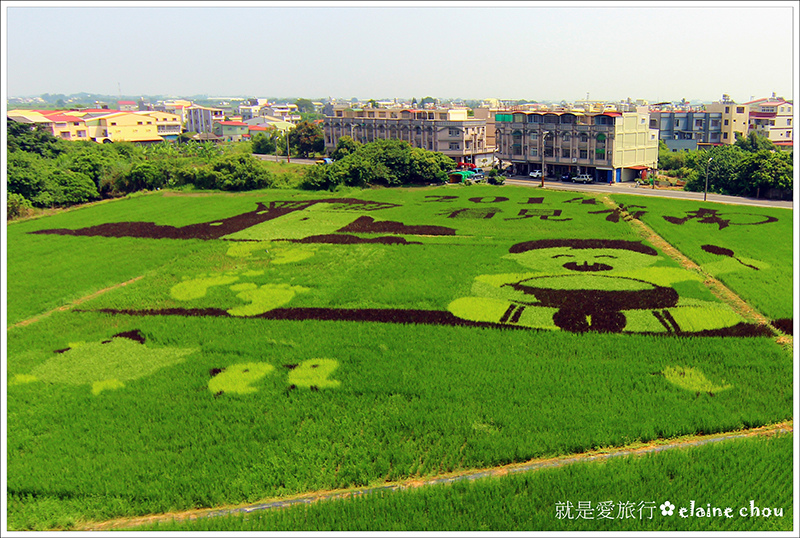 2014台南好米嘉年華(彩繪稻田)12.jpg