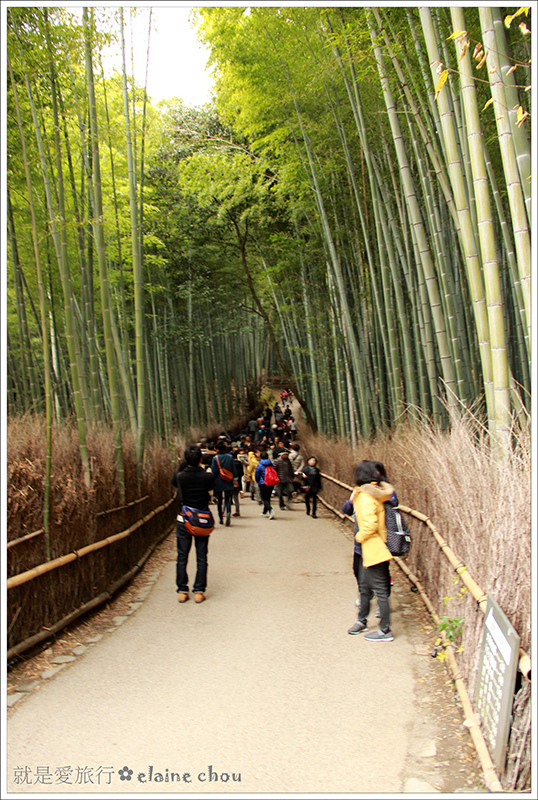 嵯峨野竹林步道03.JPG