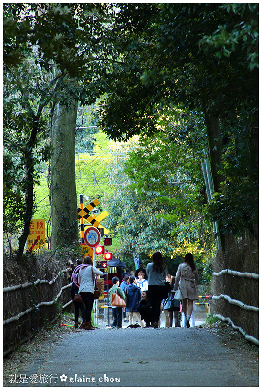 嵯峨野竹林步道09.JPG