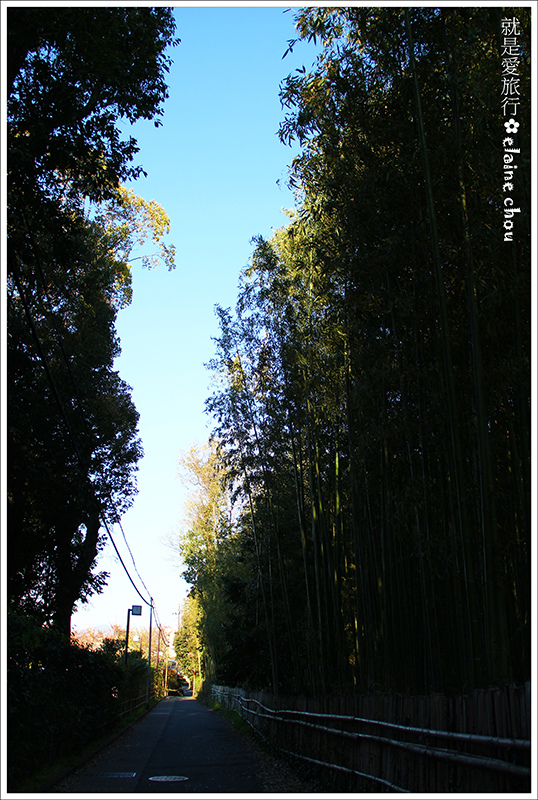 嵯峨野竹林步道13.JPG