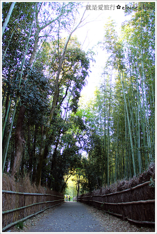 嵯峨野竹林步道14.JPG